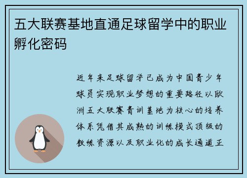 五大联赛基地直通足球留学中的职业孵化密码